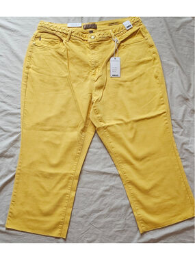 Women's Judy Blue Cropped Jeans Size 20W Yellow